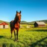 Best Horse Insurance